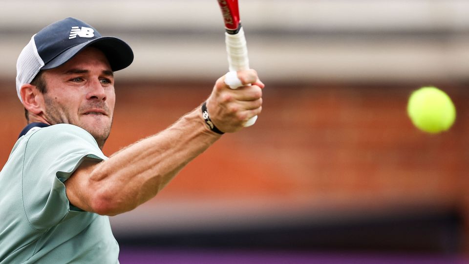 给山东的体 给山东的体