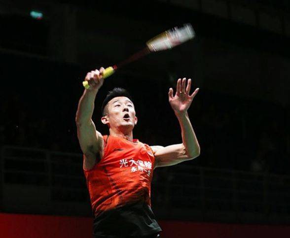 还促进了体 还促进了体