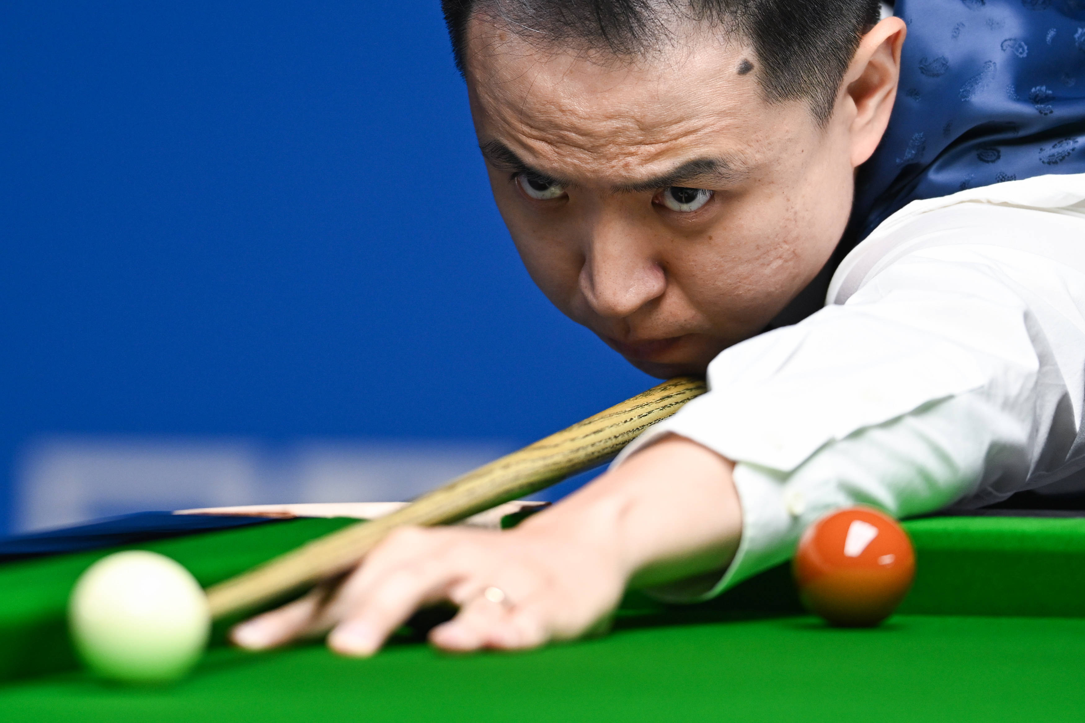 们提供了宝 们提供了宝