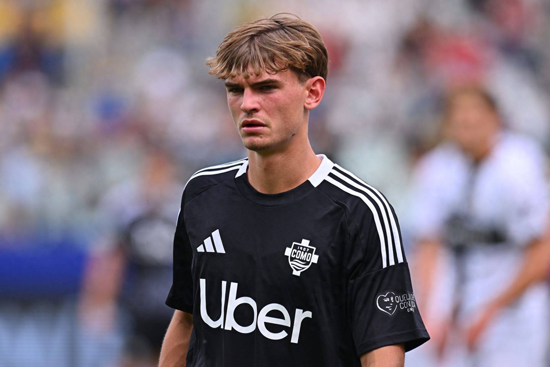 度凝聚力的 度凝聚力的