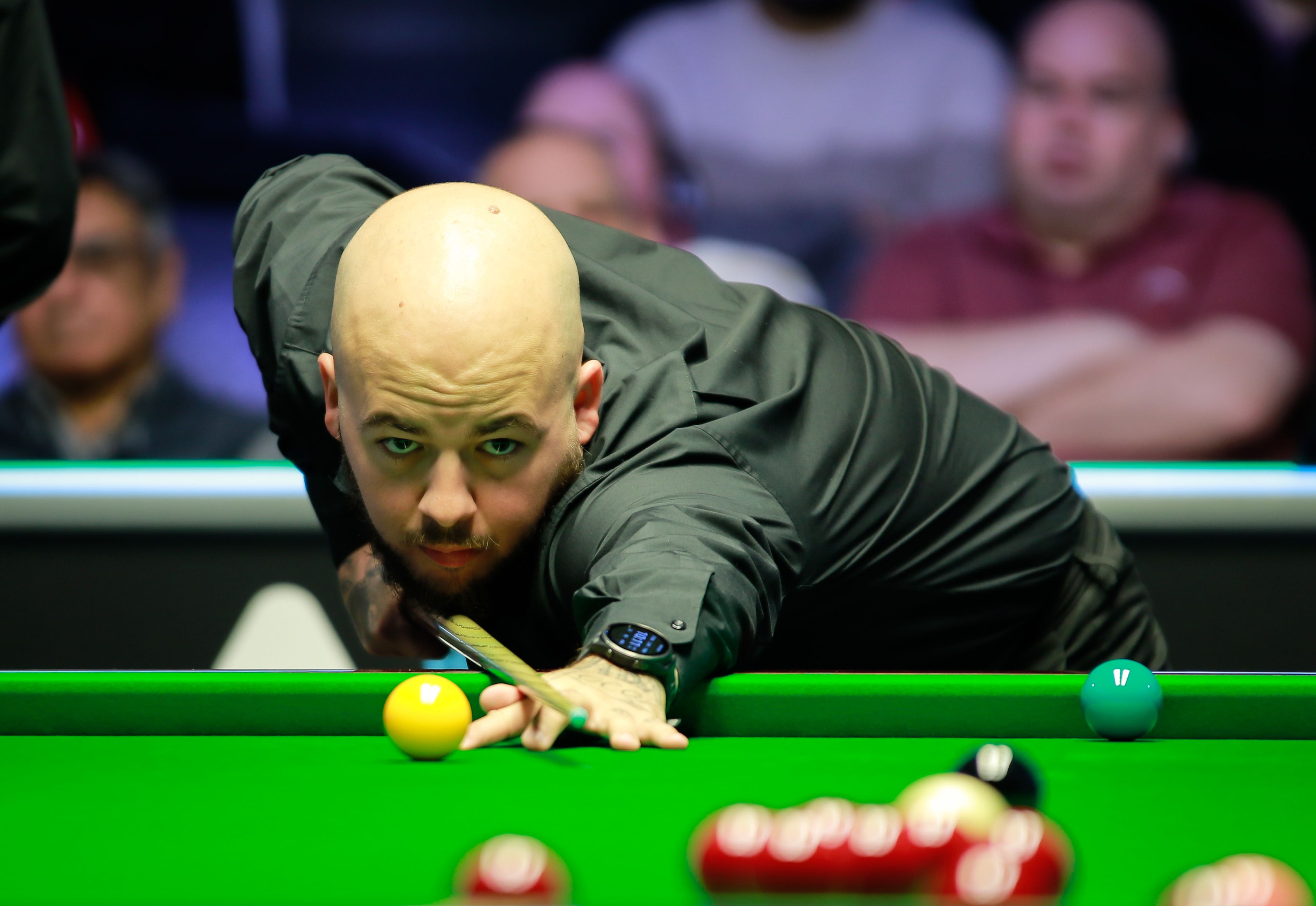 游泳界的 游泳界的