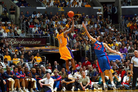 的高适配型 的高适配型